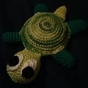 Schildkröte 001